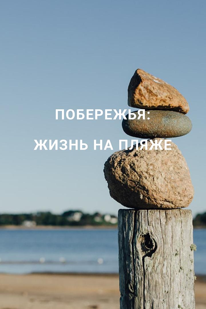 Побережья: жизнь на пляже (poberezhja-zhizn-na-pljazhe) Документальный фильм