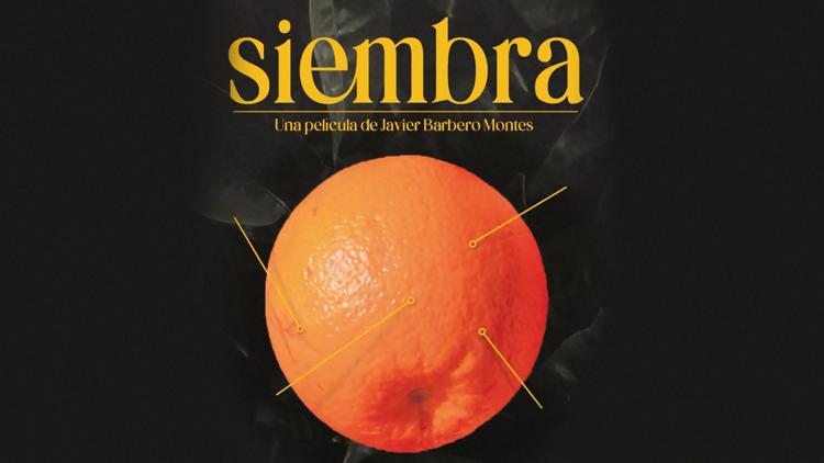 Постер Siembra