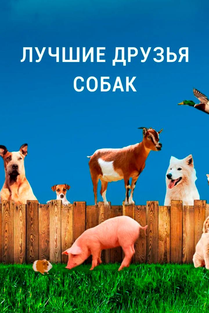 Лучшие друзья собак (luchshie-druzja-sobak) Документальный сериал