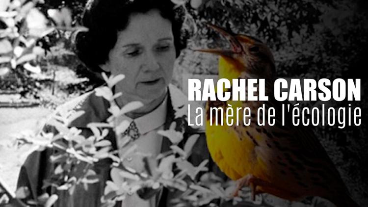 Постер Rachel Carson, la mère de l'écologie