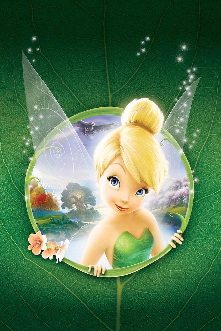 Феи (fei) Мультфильм 2008