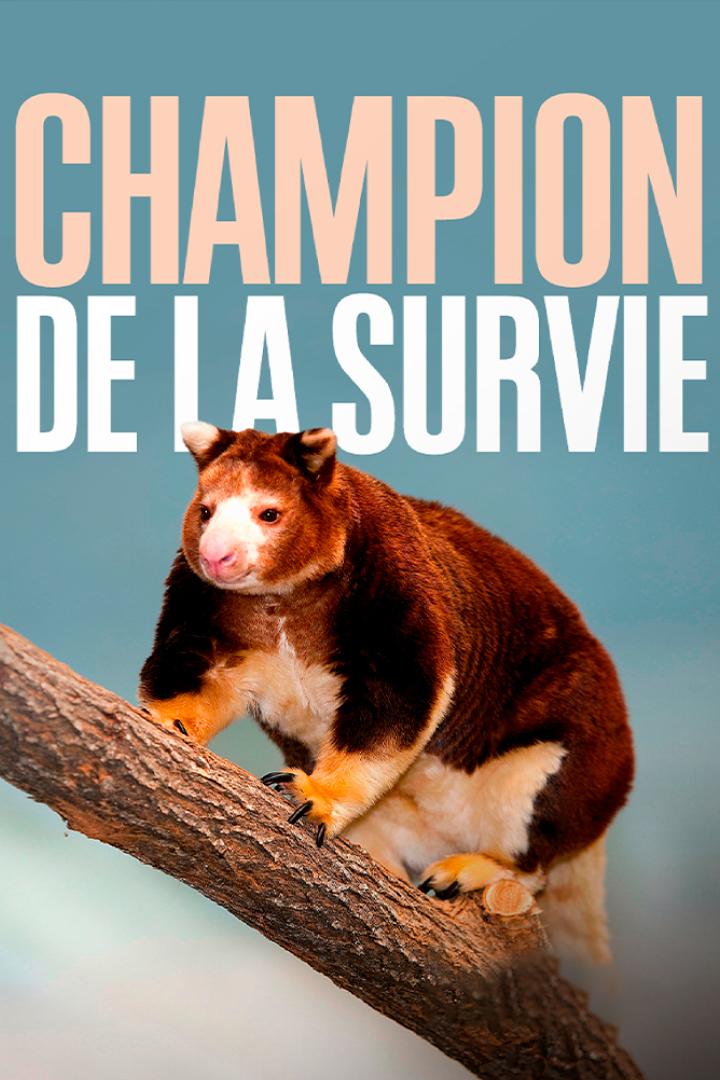 Champion de la survie (champion-de-la-survie) Познавательное