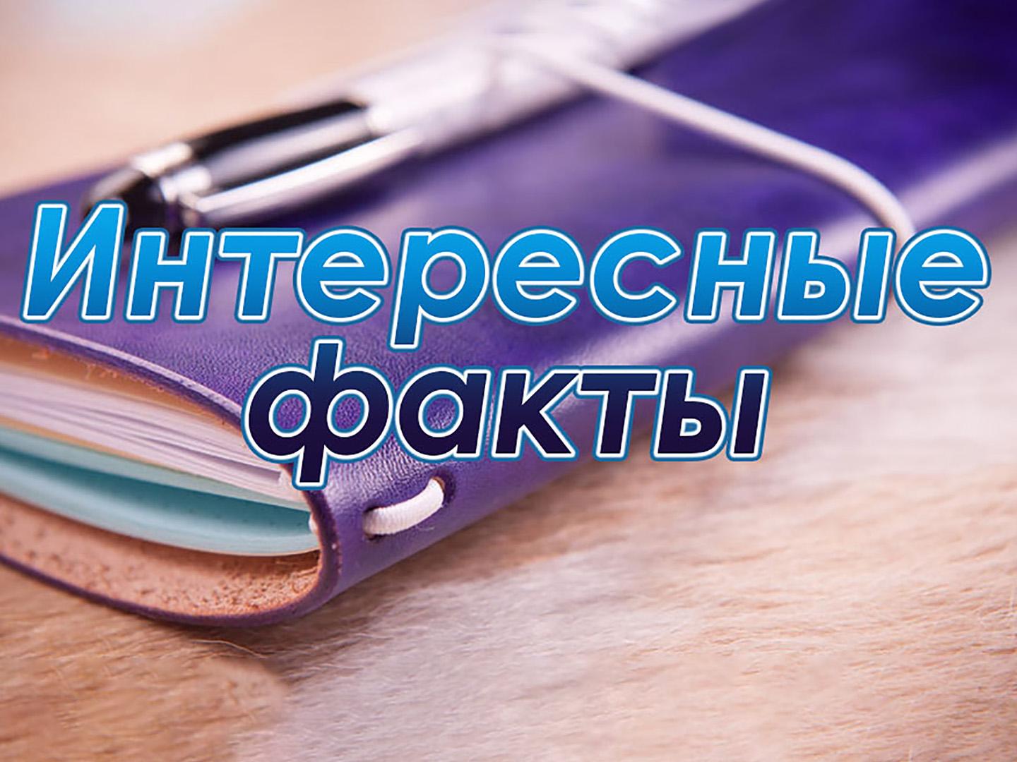 Интересные факты (interesnye-fakty) Документальный сериал