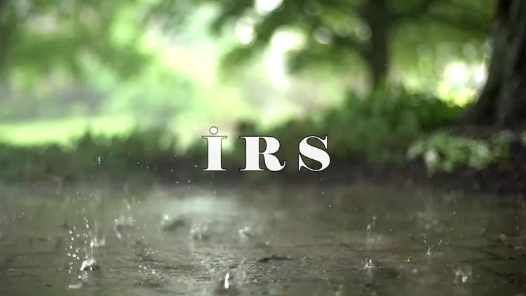 Постер Irs