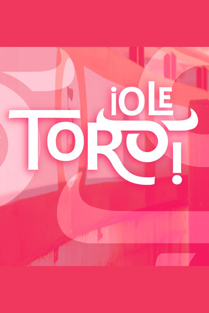 ¡Olé, Toro! (ol-toro) Досуг, хобби