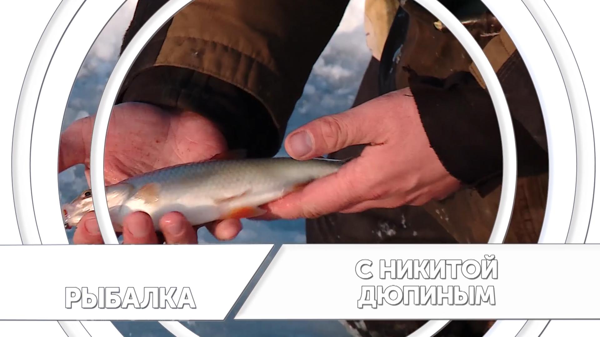 Рыбалка с Никитой Дюпиным (rybalka-s-nikitoj-djupinym) Досуг, хобби