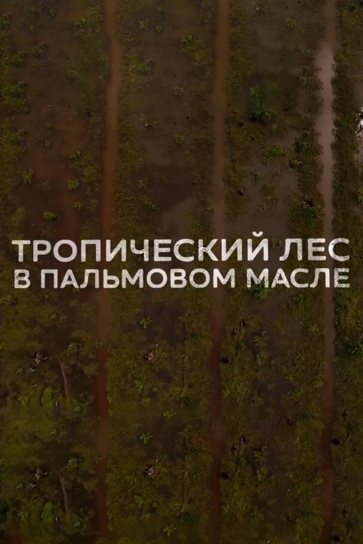 Тропический лес в пальмовом масле (tropicheskij-les-v-palmovom-masle) Документальный фильм