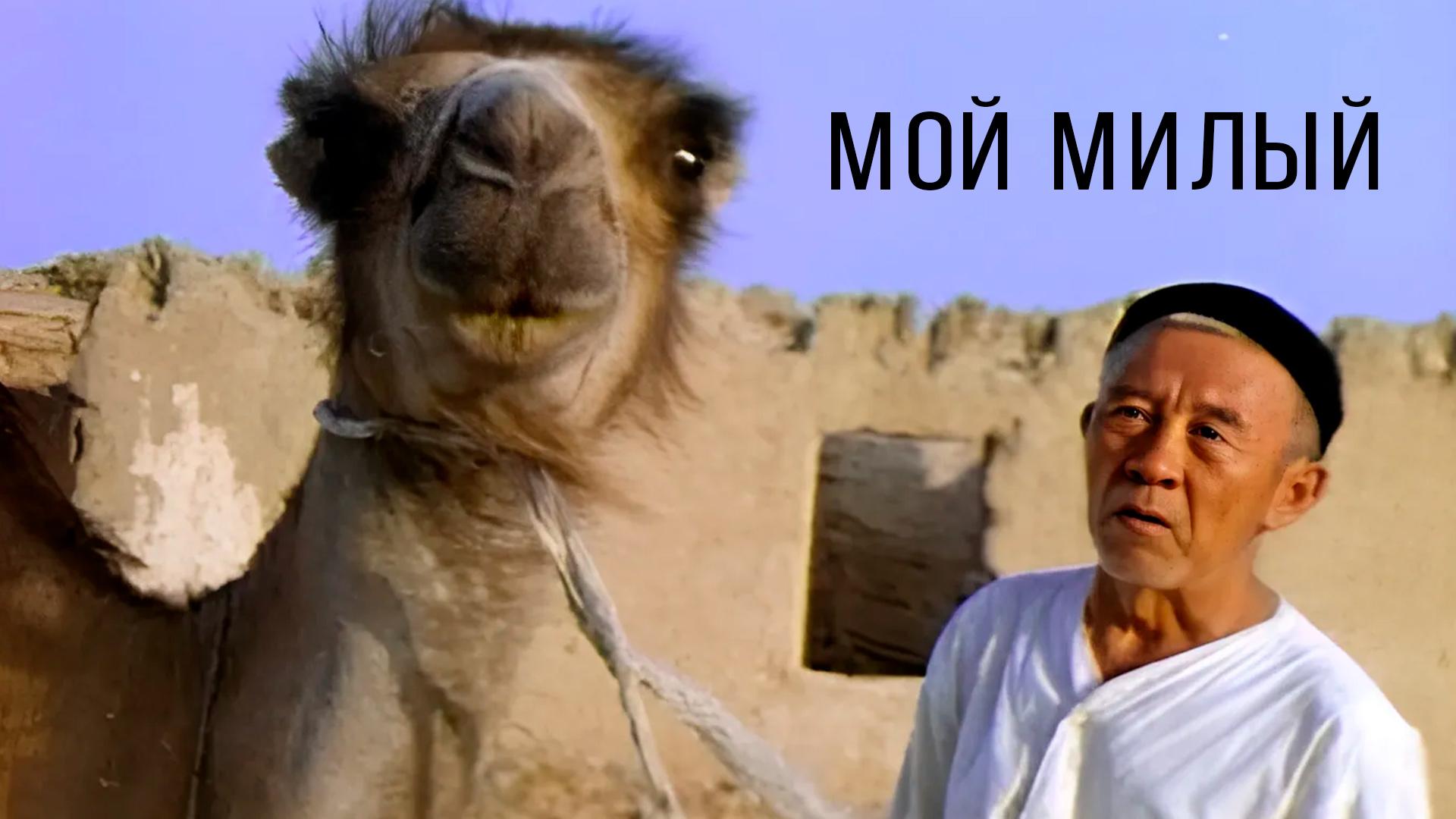 Мой милый (moj-milyj) Фильм 1990