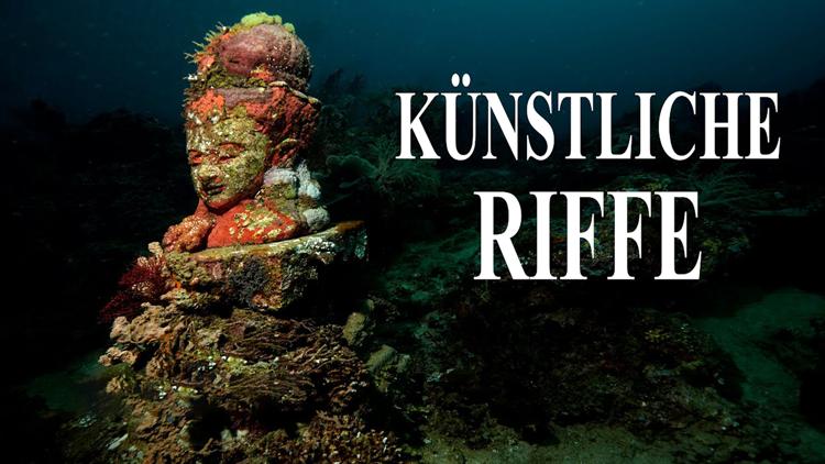 Постер Künstliche Riffe