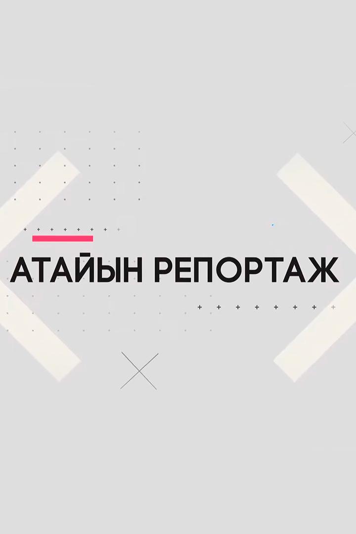 Атайын репортаж (atajyn-reportazh) Другое