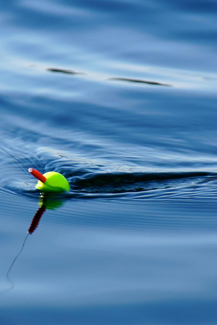 Рыболовы окраинного моря (rybolovy-okrainnogo-morja) Познавательное