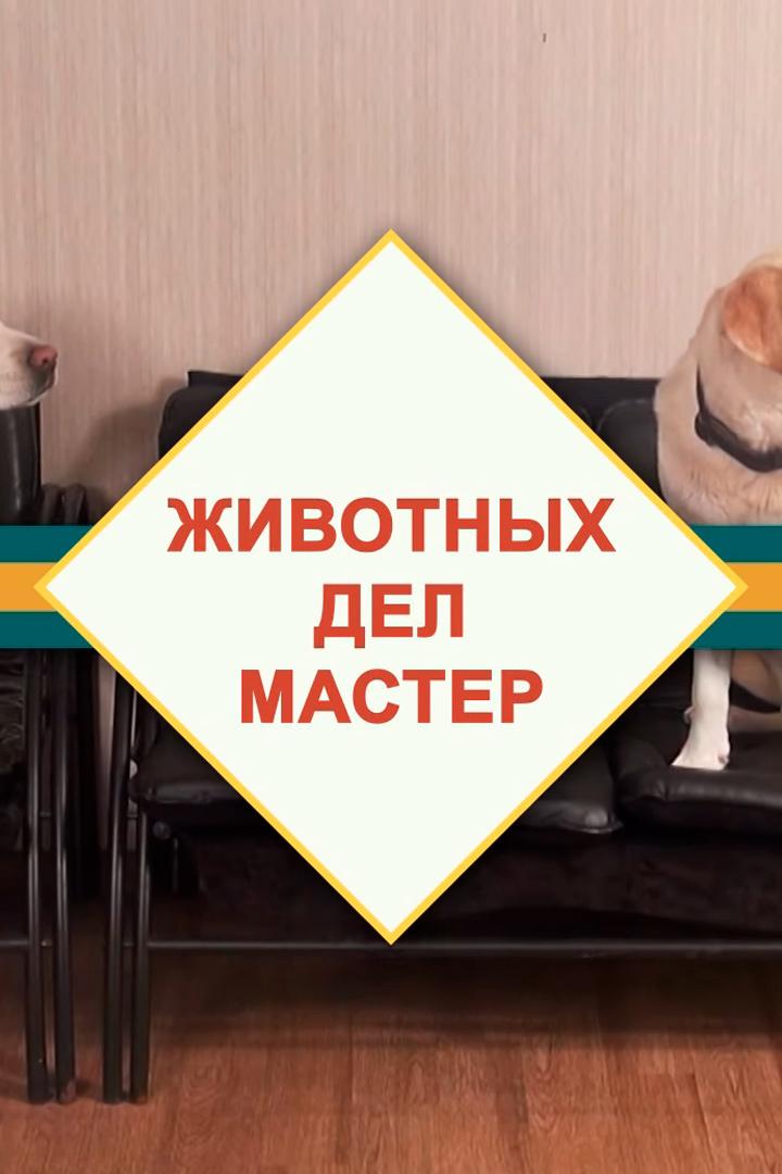 Животных дел мастер (zhivotnyh-del-master) Познавательное