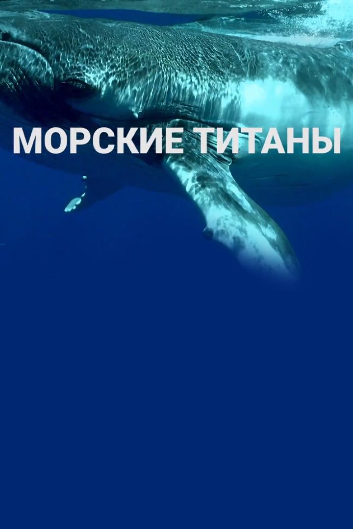 Морские титаны: обитатели глубин (morskie-titany-obitateli-glubin) Документальный фильм