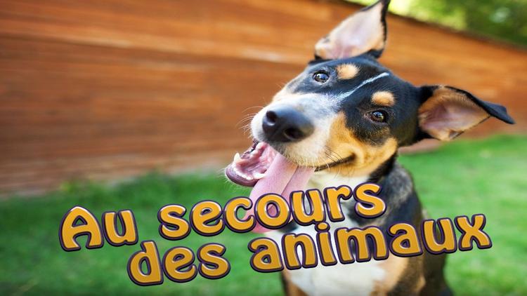 Постер Au secours des animaux