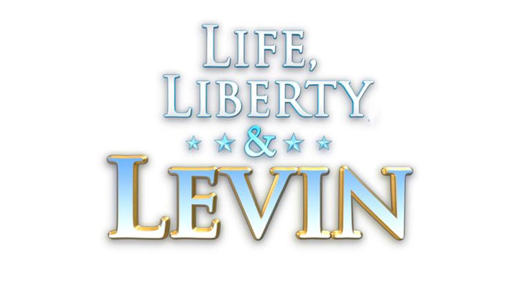 Постер Life, Liberty & Levin