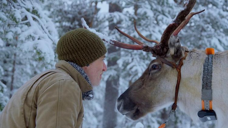 Постер Reindeer Family and Me