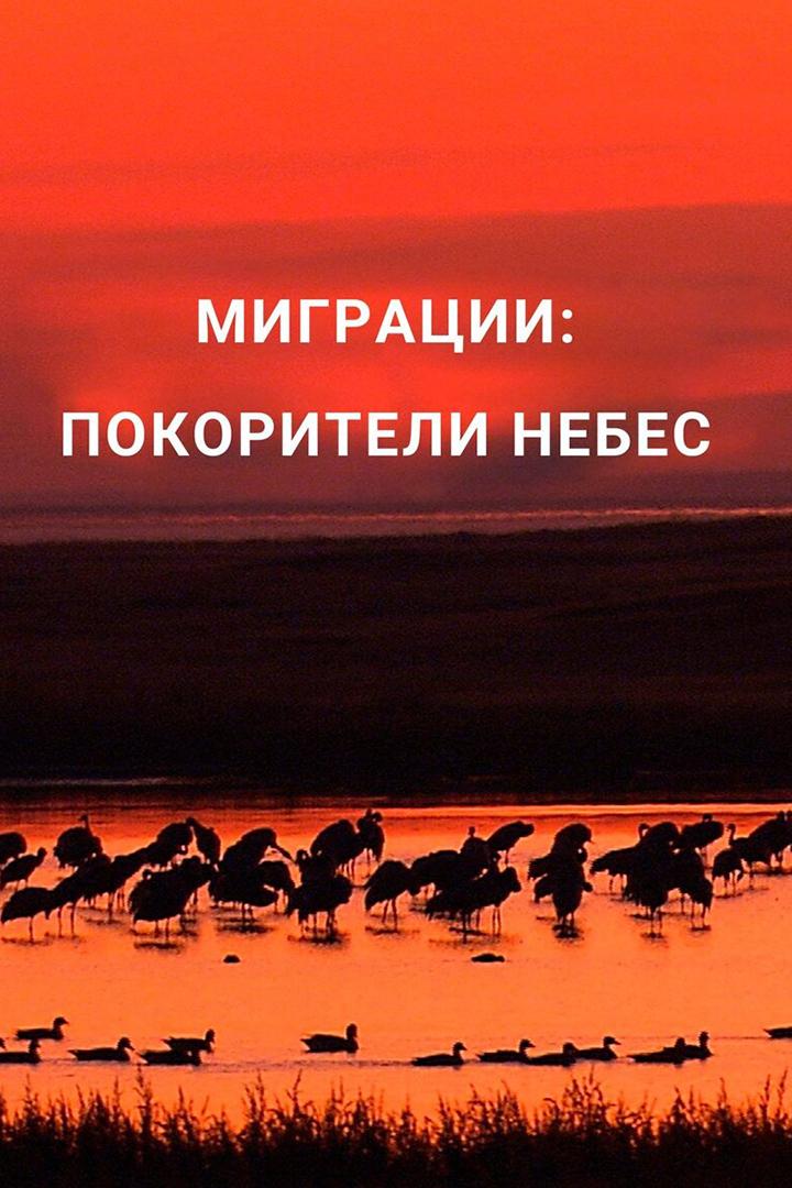 Миграции: покорители небес (migratsii-pokoriteli-nebes) Документальный фильм