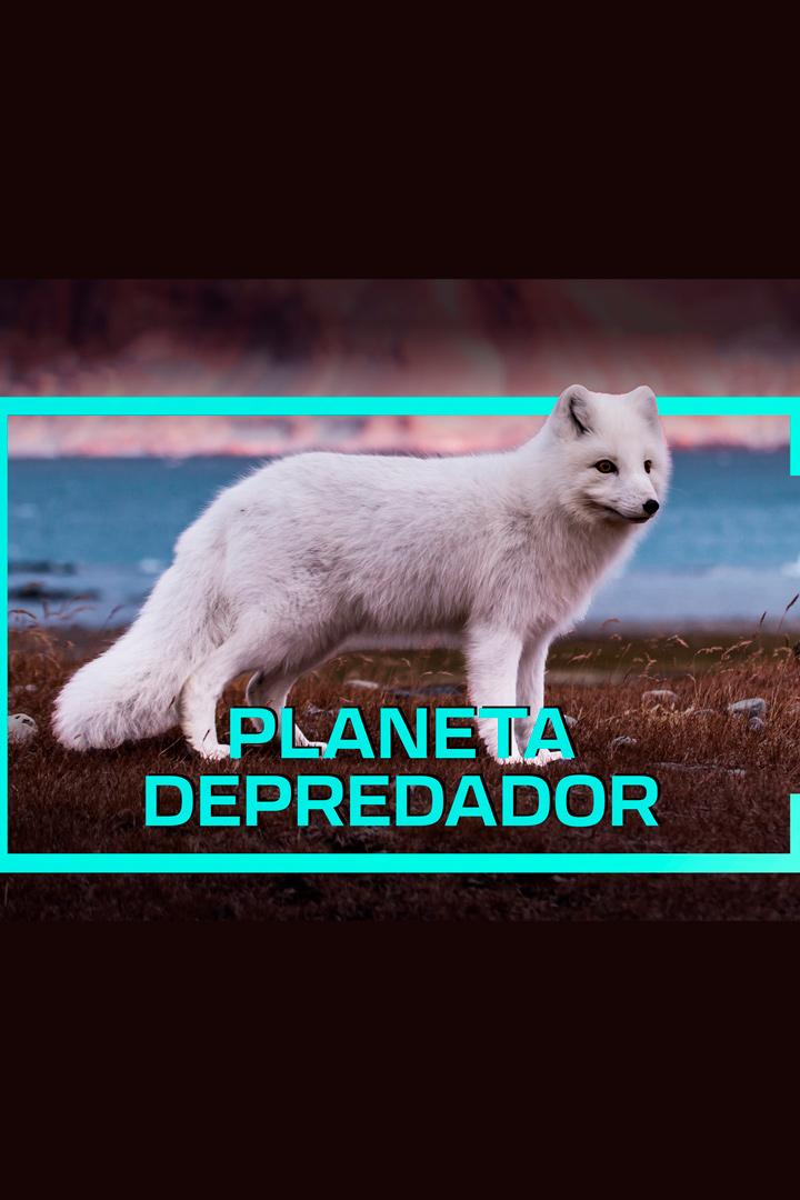 Planeta depredador (planeta-depredador) Познавательное