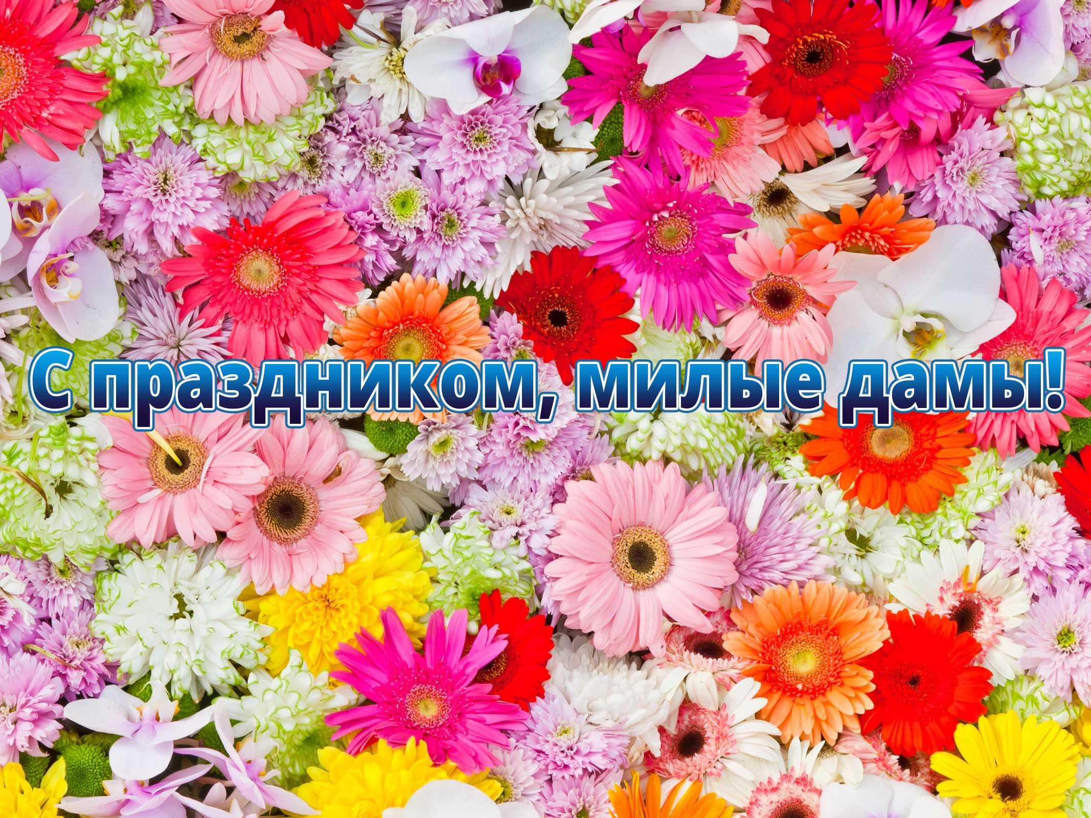 С праздником, милые дамы! (s-prazdnikom-milye-damy) Музыка