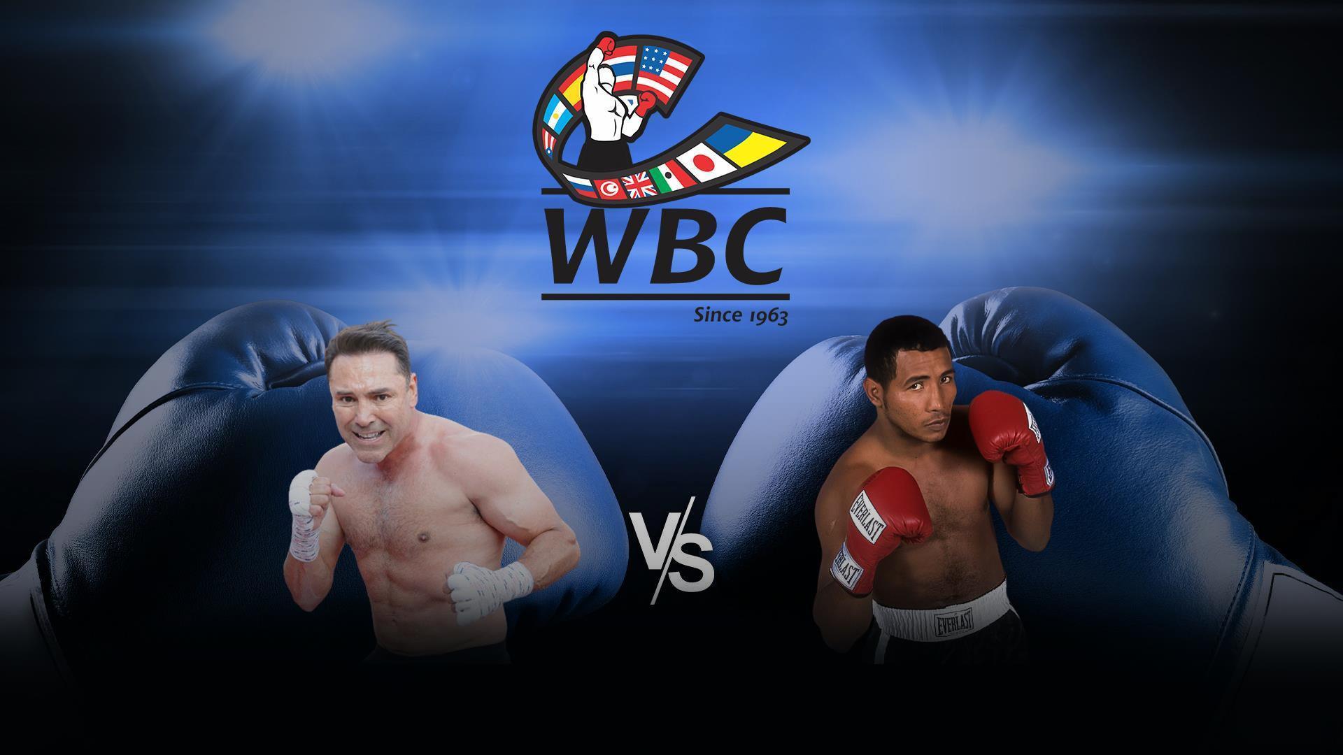 Поединок за титул чемпиона мира по версии WBC в первом среднем весе. Оскар Де Ла Хойя - Рикардо Майорга (poedinok-za-titul-chempiona-mira-po-versii-wbc-v-pervom-srednem-vese-oskar-de-la-hojja-rikardo-majorga) Спорт