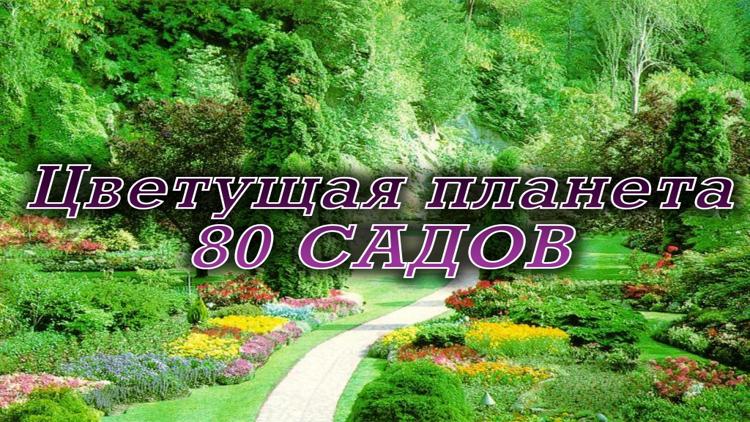 Постер Цветущая планета. 80 садов