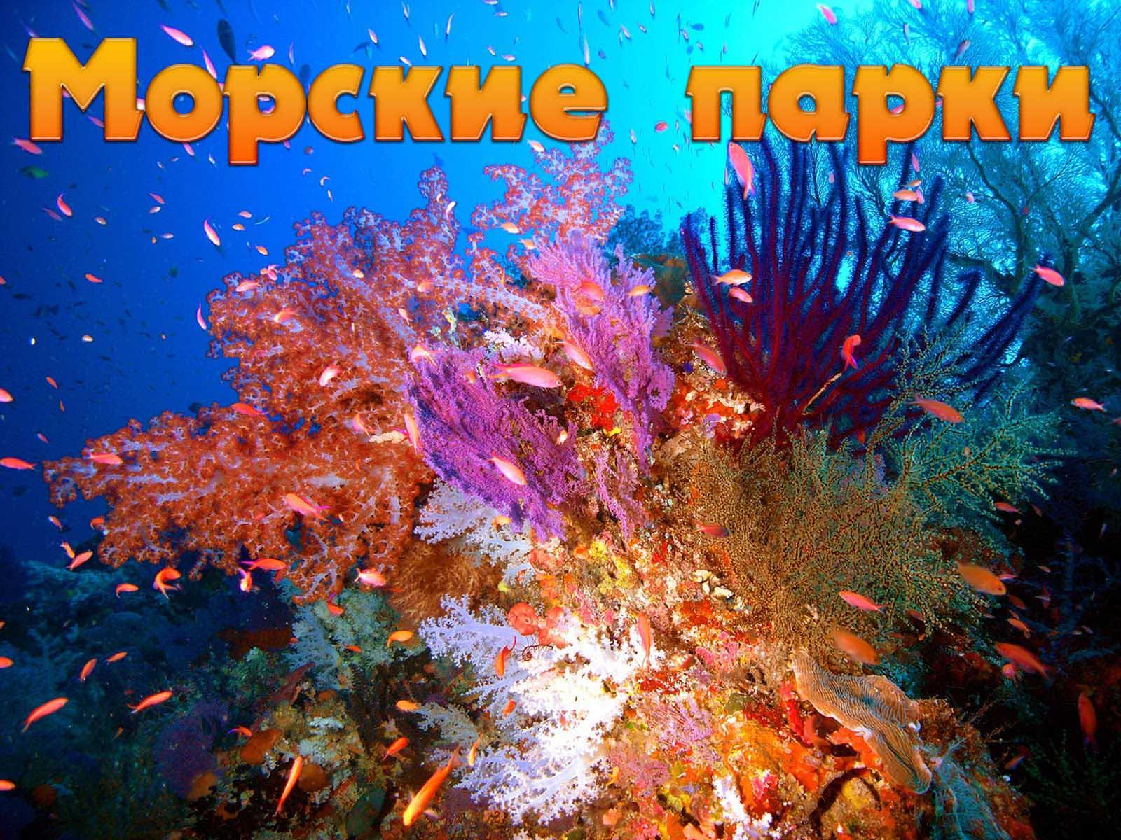 Морские парки (morskie-parki) Документальный сериал