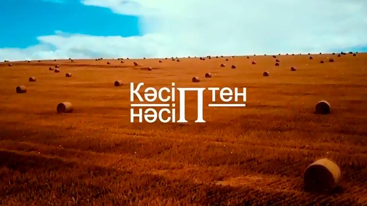 Постер Кәсіп пен нәсіп