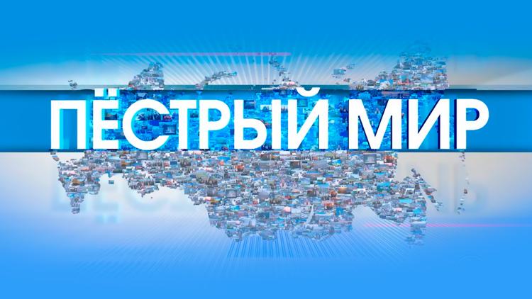 Постер Пёстрый мир