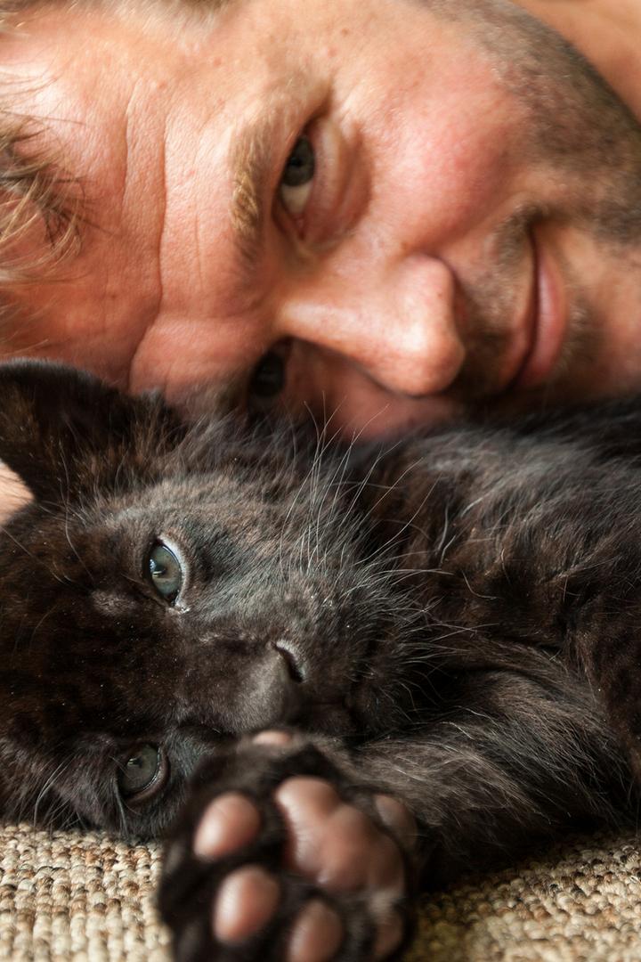 Big Cats About the House (big-cats-about-the-house) Документальный сериал