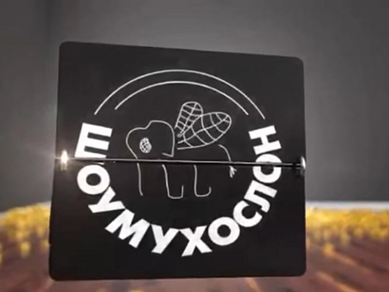 Шоумухослон (shoumuhoslon) Досуг, хобби