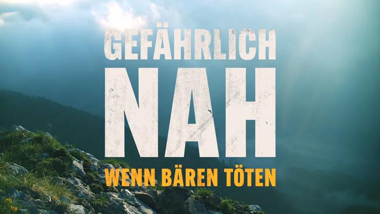 Постер Gefährlich nah – Wenn Bären töten