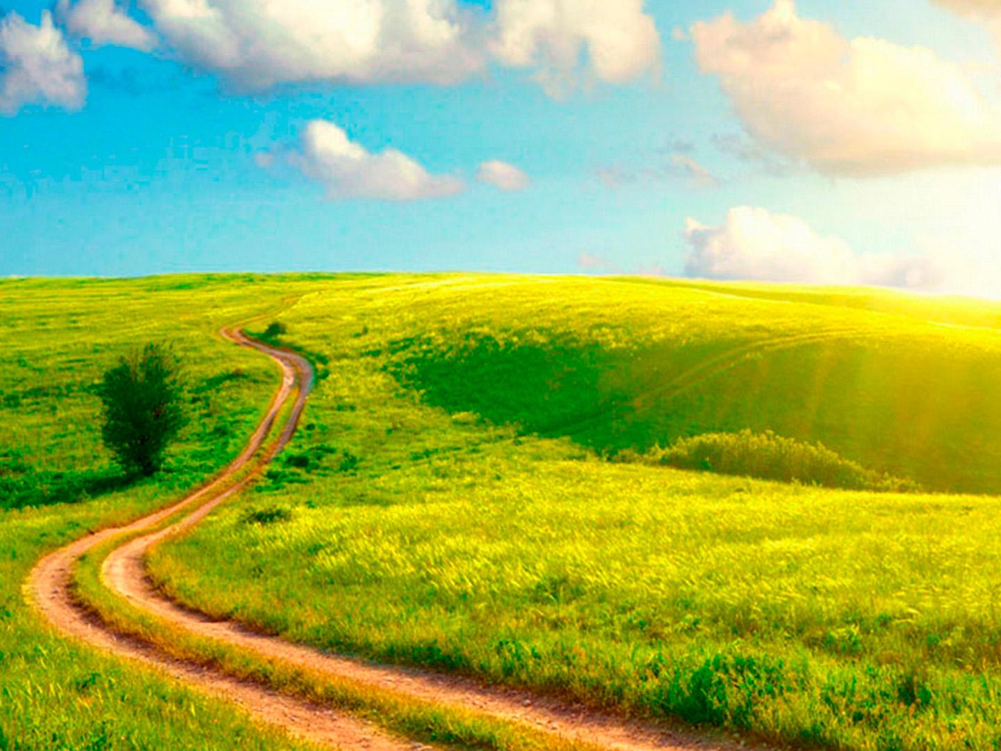 Я по земле иду (ja-po-zemle-idu) Документальный фильм