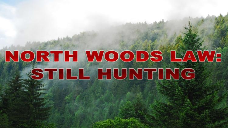 Постер North Woods Law: Still Hunting