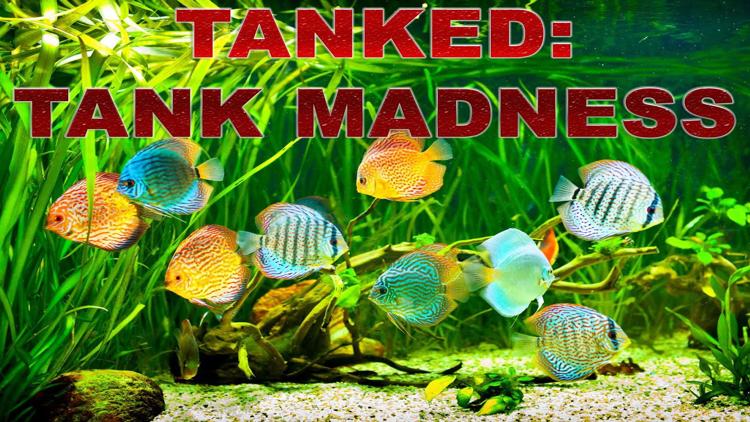 Постер Tanked: Tank Madness