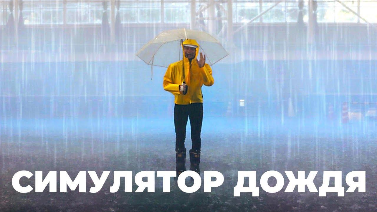 Самое дождливое место на планете (samoe-dozhdlivoe-mesto-na-planete) Досуг, хобби