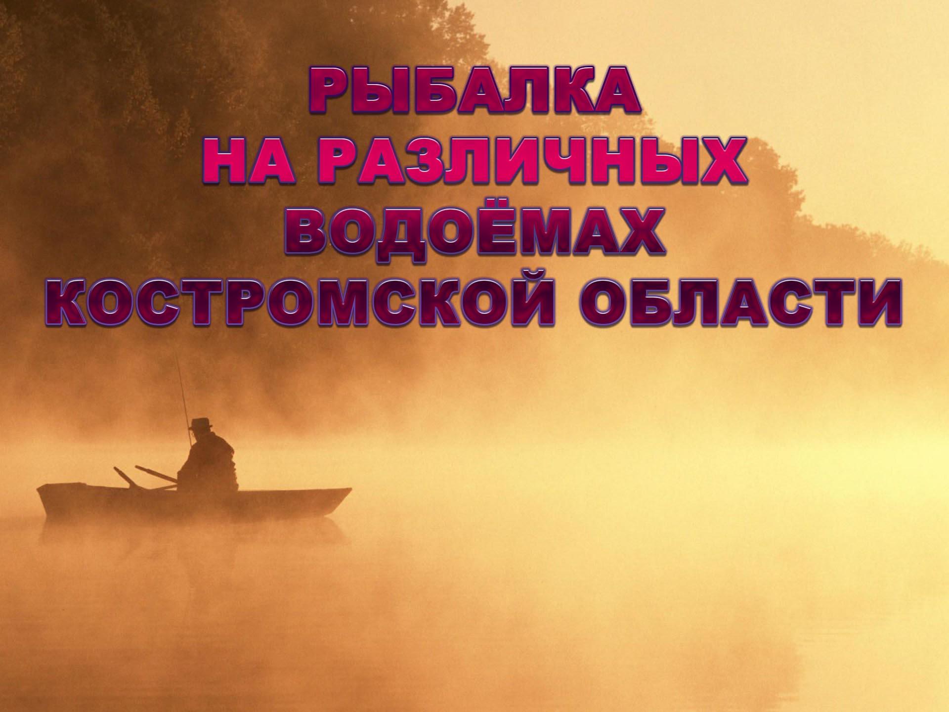 Рыбалка на различных водоёмах Костромской области (rybalka-na-razlichnyh-vodoemah-kostromskoj-oblasti) Досуг, хобби