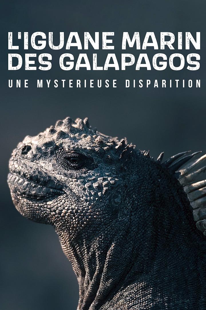 L'iguane marin des Galápagos : Une mystérieuse disparition (liguane-marin-des-galpagos-une-mystrieuse-disparition) Документальный фильм