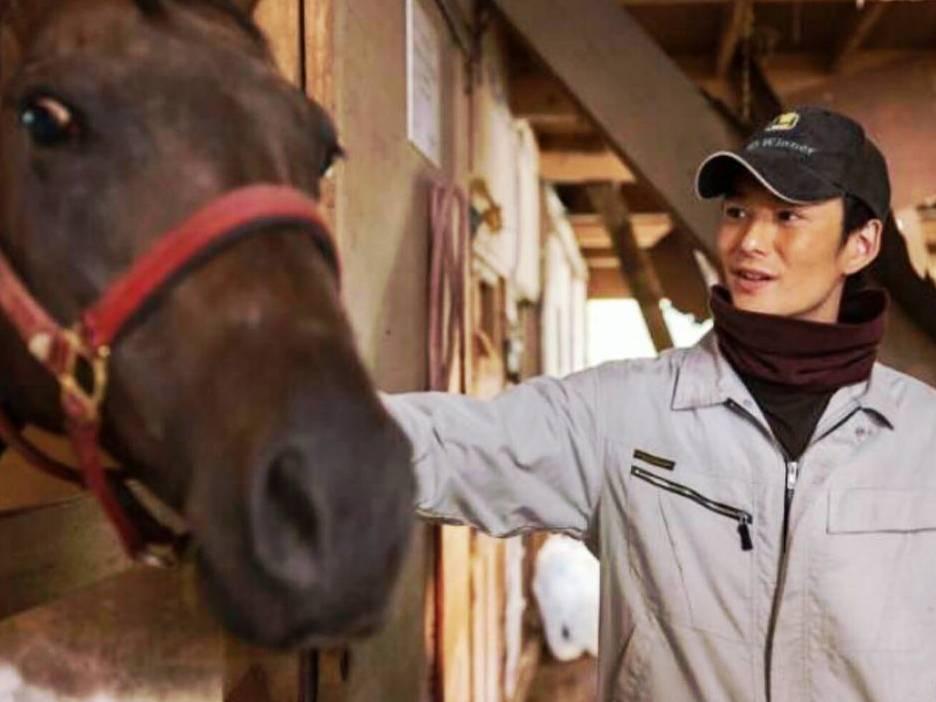 Ties-A Miraculous Colt (ties-a-miraculous-colt) Фильм 2017