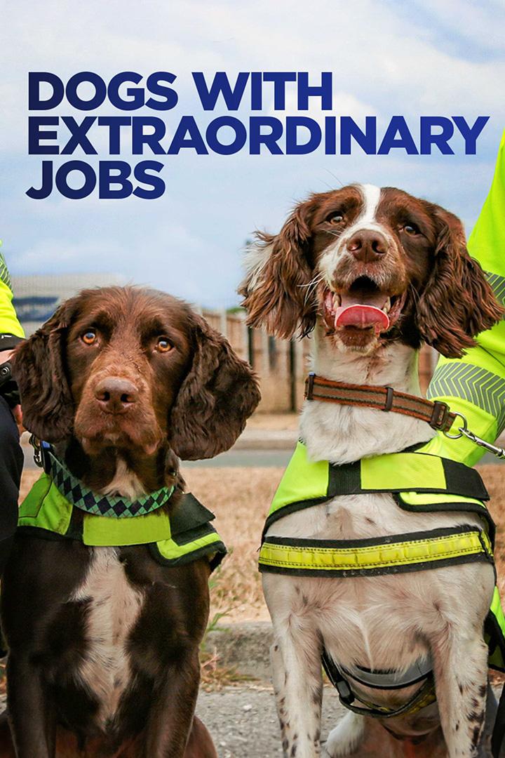 Super Dogs with Extraordinary Jobs (super-dogs-with-extraordinary-jobs) Документальный фильм