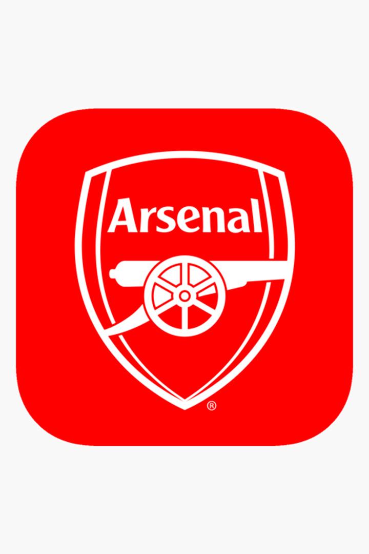 Arsenal TV. АПЛ. 20 Years On-2003/04 Season Review (arsenal-tv-apl-20-years-on-200304-season-review) Досуг, хобби