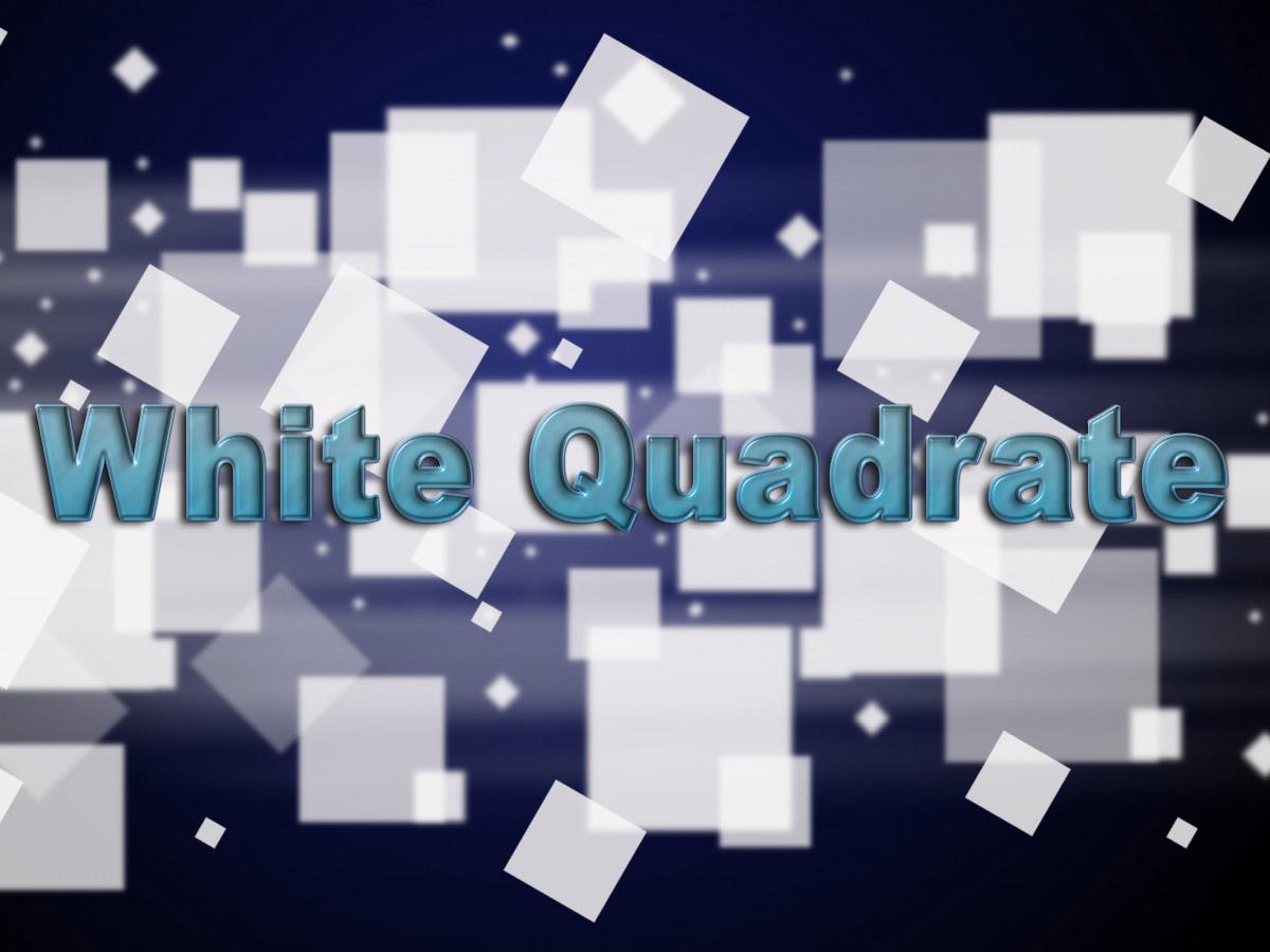 White Quadrate (white-quadrate) ТВ-шоу