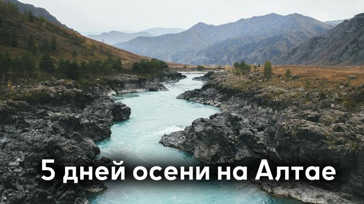 Постер 5 дней осени на Алтае