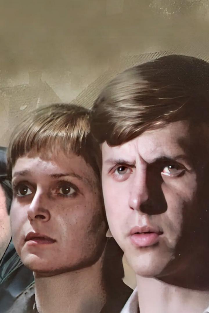 Дом (dom) Сериал 1980