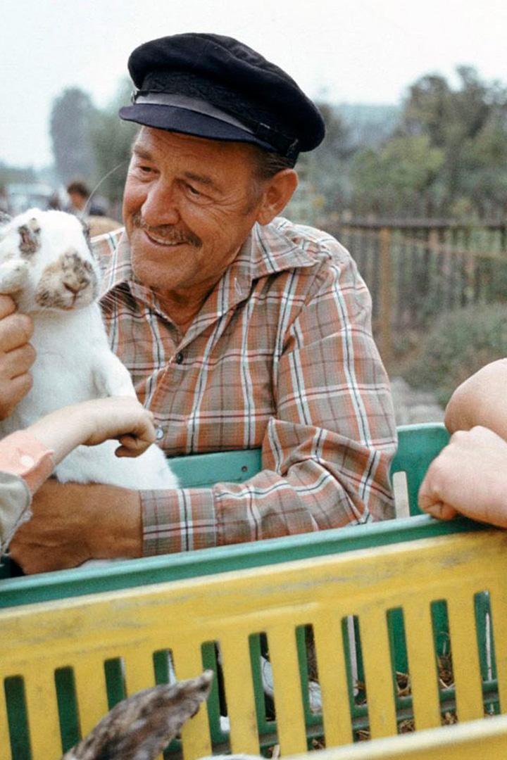 Geschichten übern Gartenzaun (geschichten-bern-gartenzaun) Сериал 1992