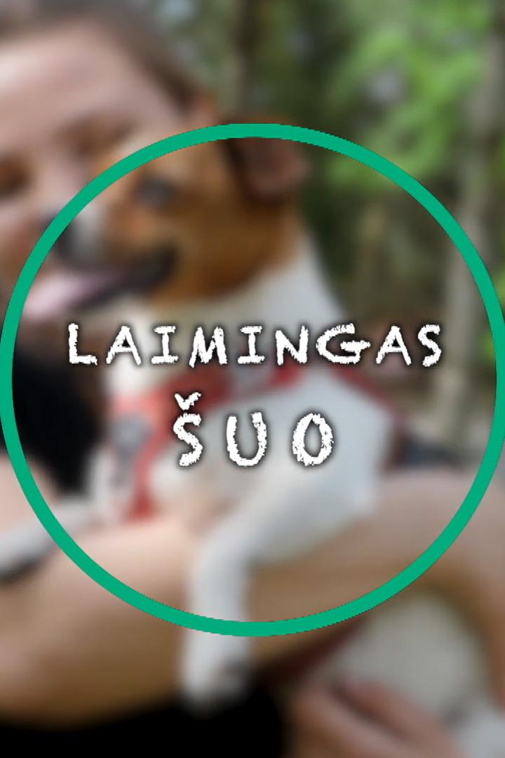 Laimingas šuo (laimingas-uo) Досуг, хобби