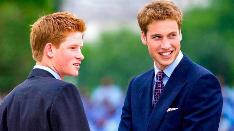 Постер Harry vs. William - Der royale Bruderzwist