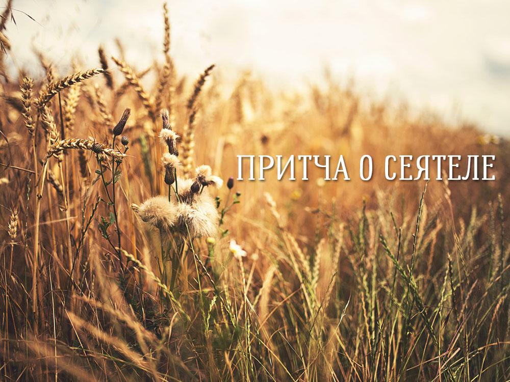 Притча о сеятеле (pritcha-o-sejatele) Познавательное