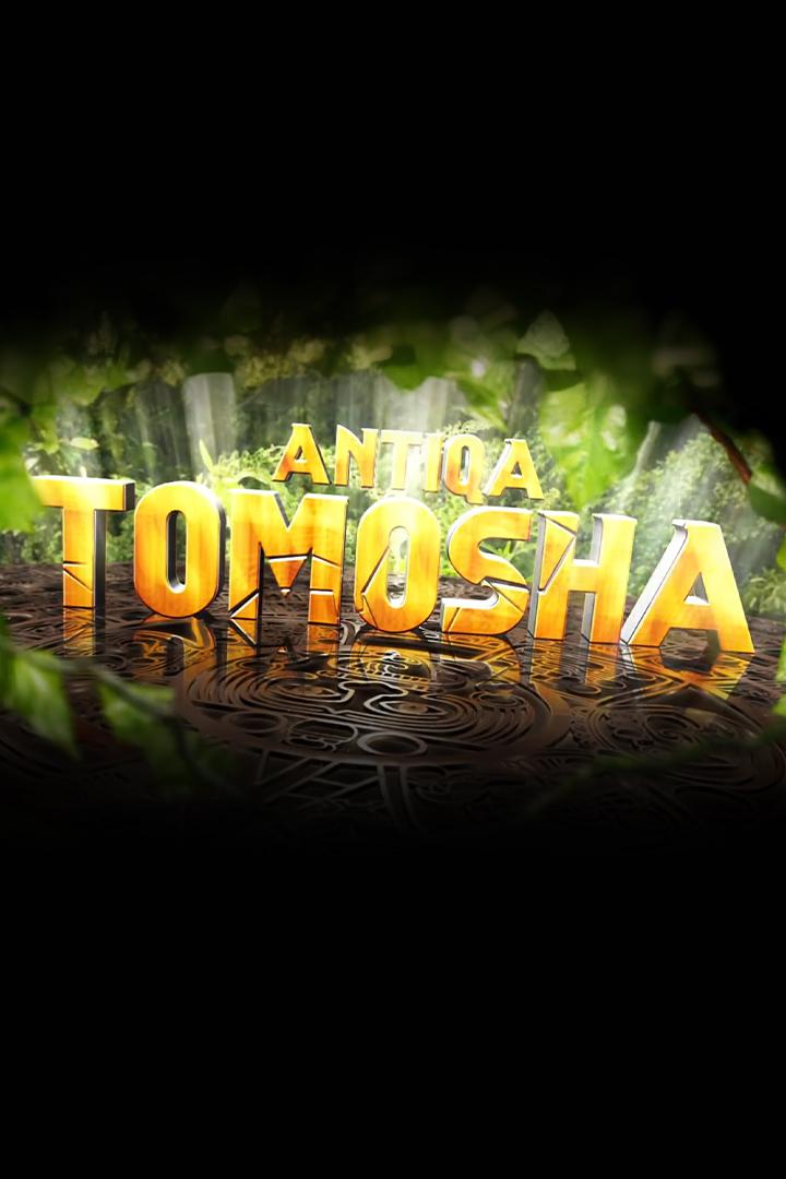 Антиқа томоша (antia-tomosha) Досуг, хобби