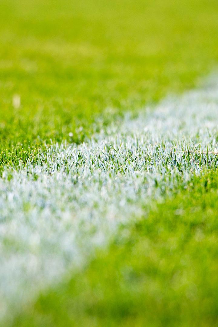 אחרי המשחק Досуг, хобби