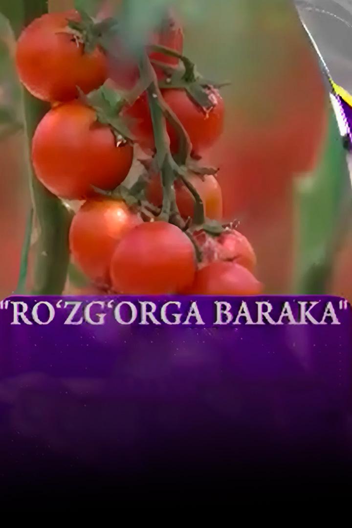 Рўзғорга барака (rzorga-baraka) Досуг, хобби